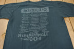 Vintage 2004 Blink 182 The North American Tour Band T-shirt