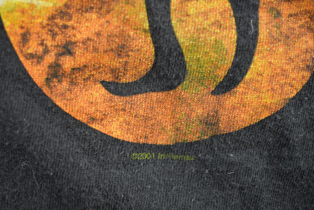 Vintage 2001 In Flames Tour T-Shirt
