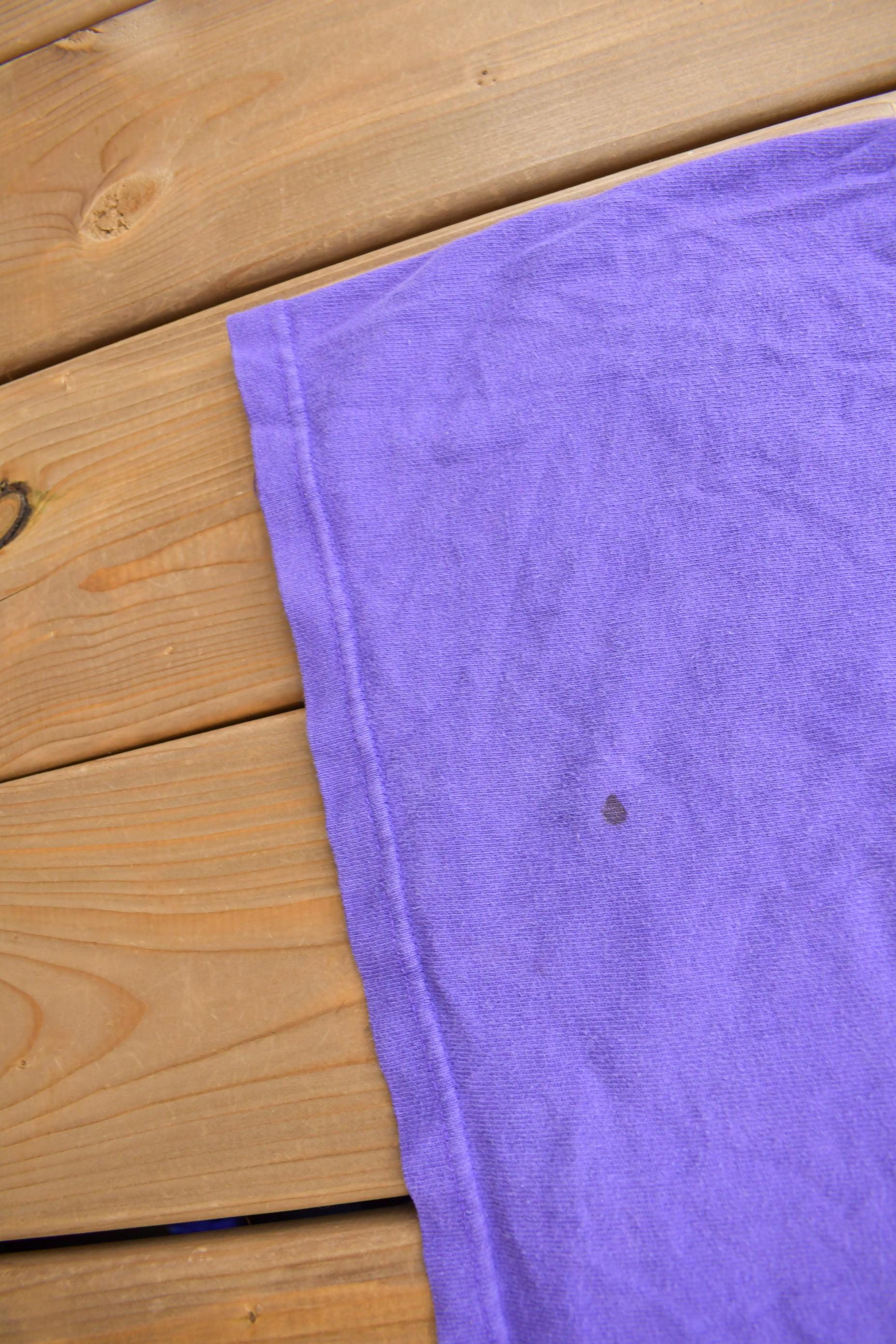 Vintage 1990s Toronto Raptors NBA Basketball Champion Graphic T-Shirt