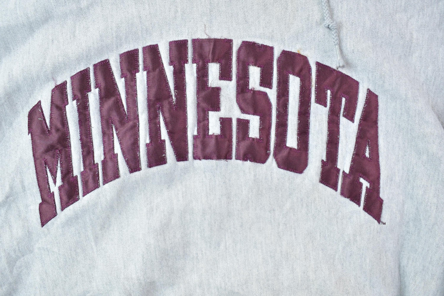 Vintage 1990s Champion Premium Reverse Weave Minnesota Hoodie Sweatshirt