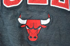 Vintage 1990s Chicago Bulls NBA Crewneck Lee Sport Sweatshirt