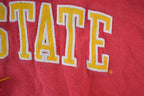 Vintage 1990s Nike Iowa State Embroidered Mini Swoosh Hoodie Sweatshirt
