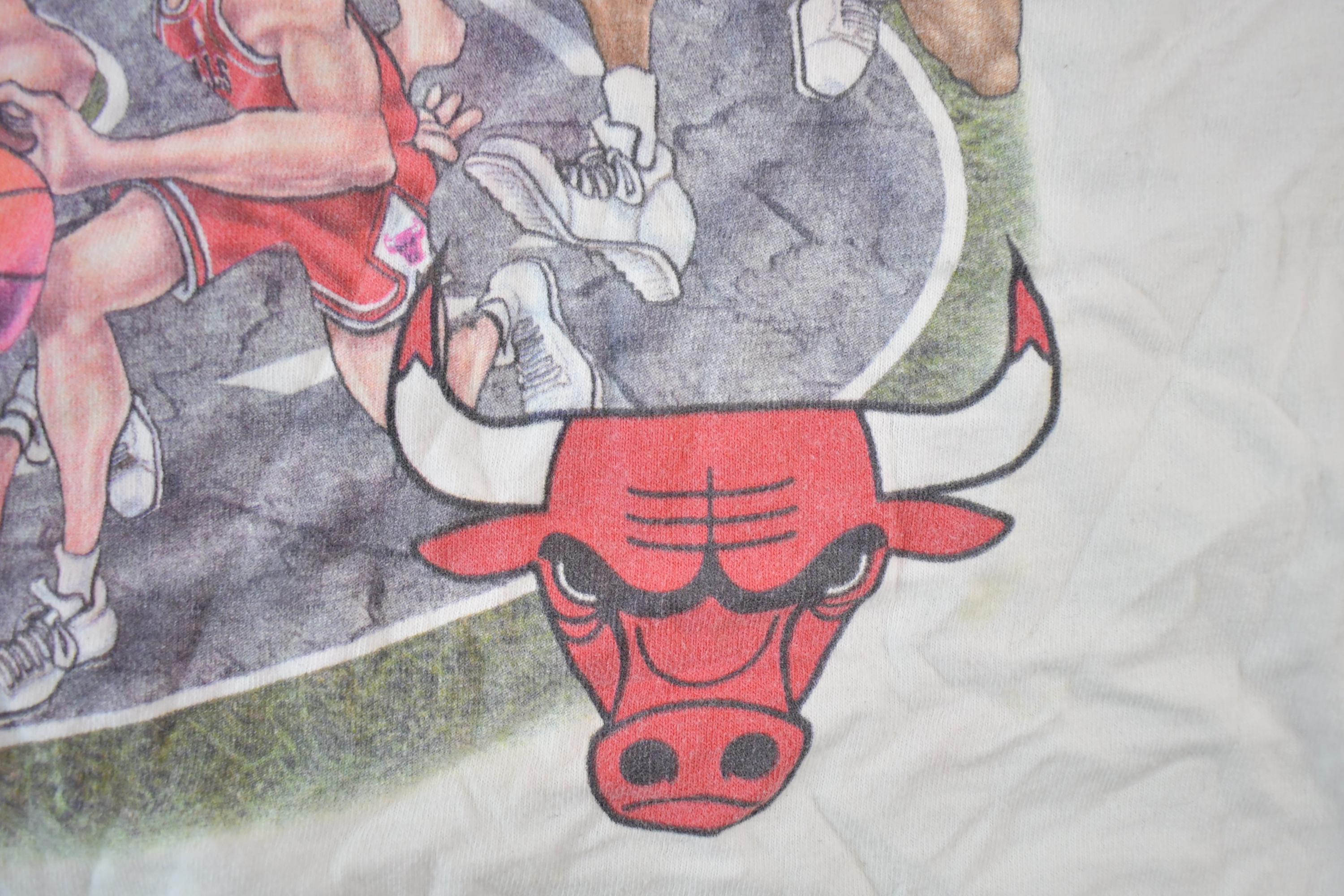 Vintage 1995 1996 Chicago Bulls NBA Graphic T-Shirt